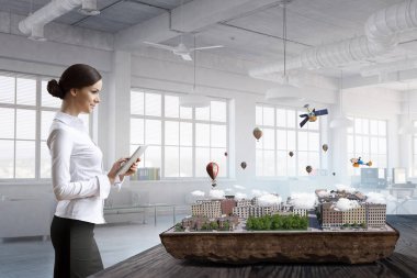 Geliştirme projesi sunulması. Karışık teknik