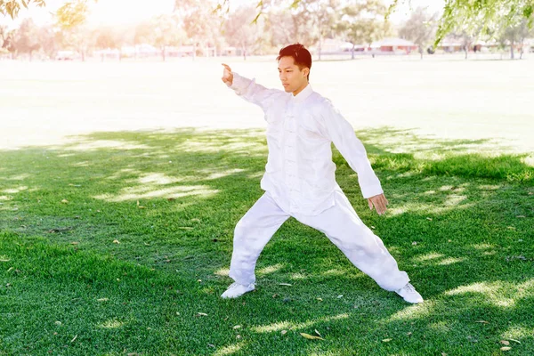 Yakışıklı adam Thai Chi yapıyor.