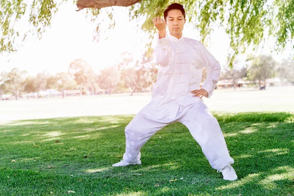 Yakışıklı adam Thai Chi yapıyor.
