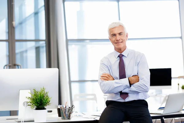 Éxito y profesionalidad en persona — Foto de Stock