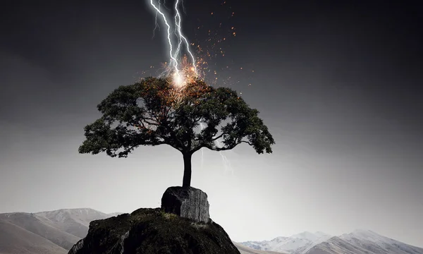 Bright lightning hit the tree — Stock Photo, Image