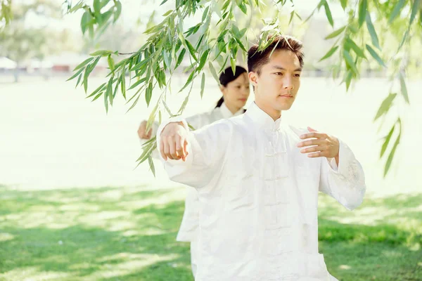 İnsanlar Park Thai chi