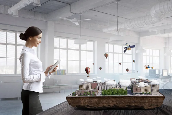 Geliştirme projesi sunulması. Karışık teknik