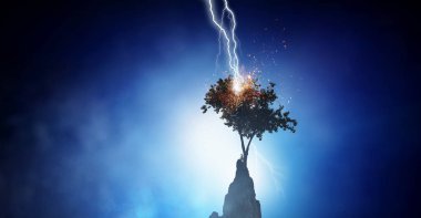 Parlak yıldırım ağaca çarptı