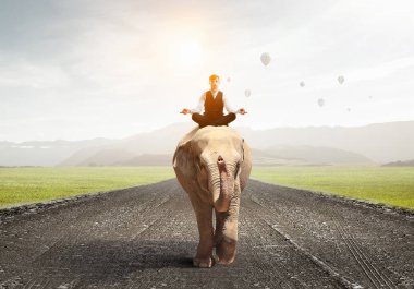 O hayvan güç ve güç sahiptir. Karışık teknik