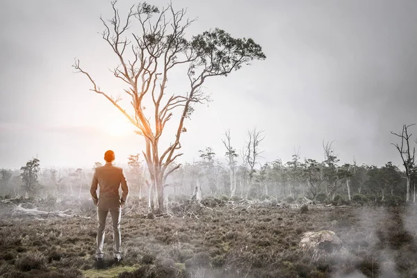 霧の森で男。ミクスト メディア — ストック写真