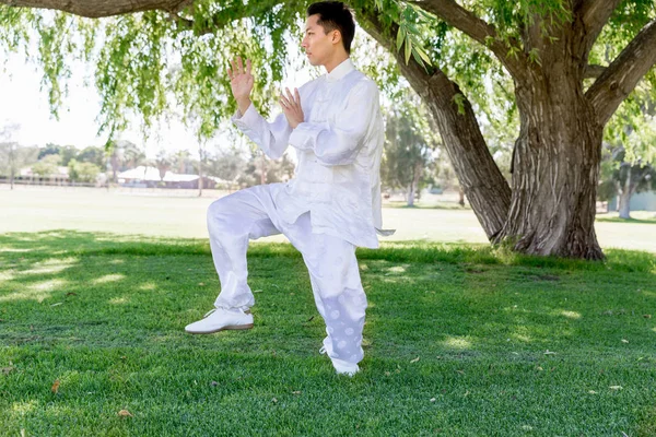 Handsome man practicing thai chi — Stock Photo, Image