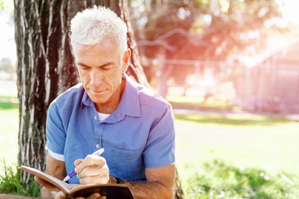 Komuta sizde daşu park kitap okurken