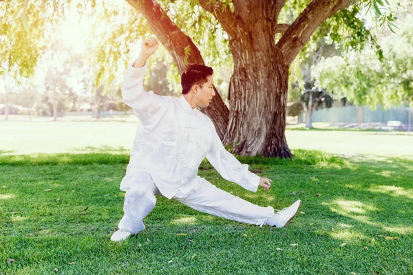 俊男练太极拳 — 图库照片