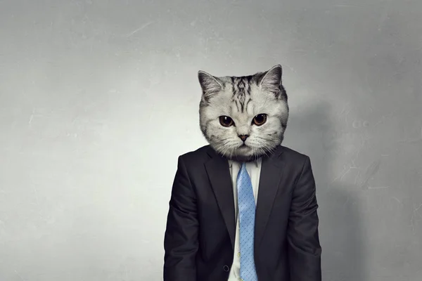 Businessman with cat head . Mixed media — Stock Photo, Image