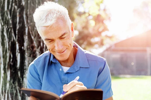 Komuta sizde daşu park kitap okurken