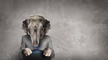 Fil iş takım elbise giymiş. Karışık teknik