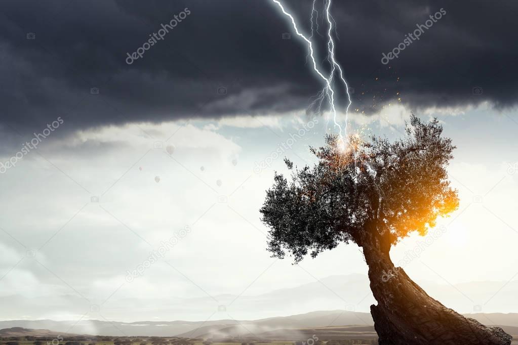 Bright lightning hit the tree