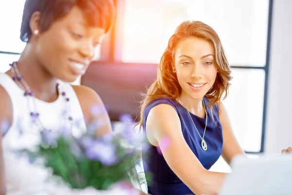 Women working together, office interior — Stock Photo, Image