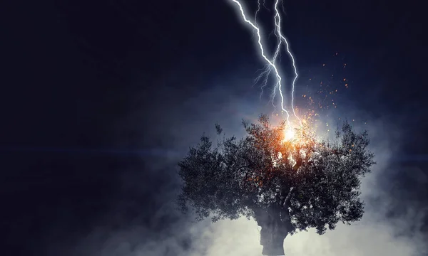 Bright lightning hit the tree — Stock Photo, Image