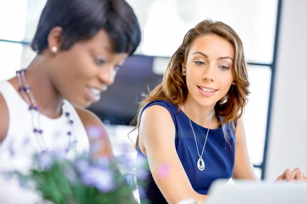 Women working together, office interior — Stock Photo, Image