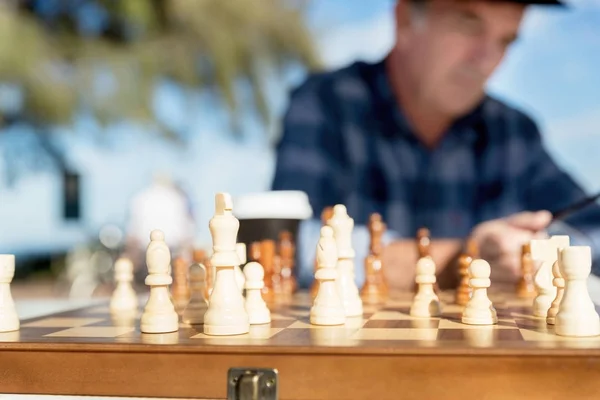 생각 체스 전략 — 스톡 사진