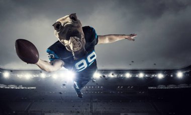 Öfkeli gergedanlar takım. Karışık teknik