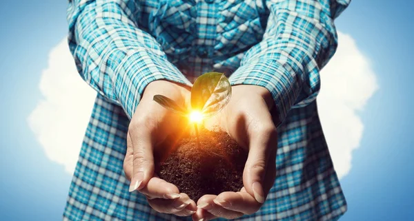 Geboorte van het nieuwe leven — Stockfoto