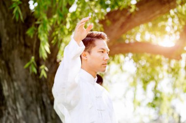 Yakışıklı adam Thai Chi yapıyor.