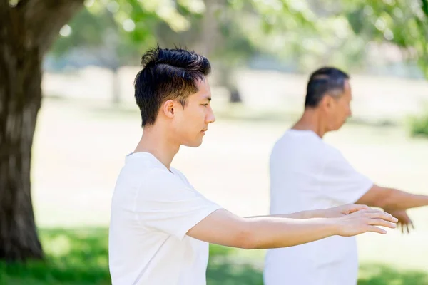 Människor som utövar thai chi i park — Stockfoto