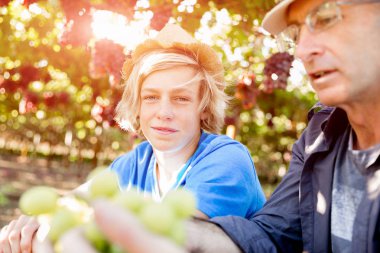 Baba ve oğul bağ içinde