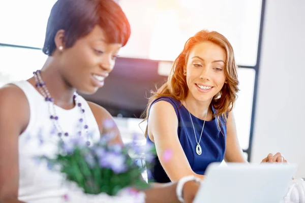 Femmes travaillant ensemble, intérieur de bureau — Photo