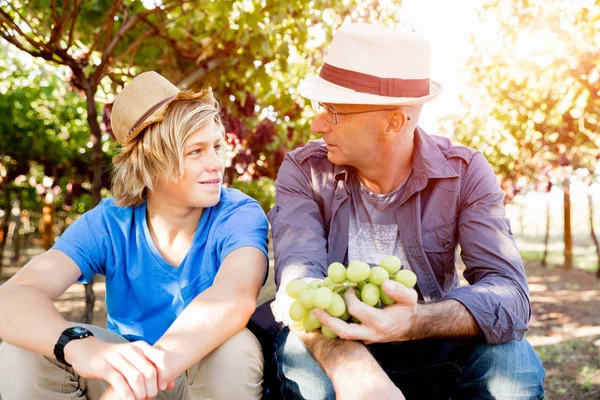 Père et fils dans la vigne — Photo