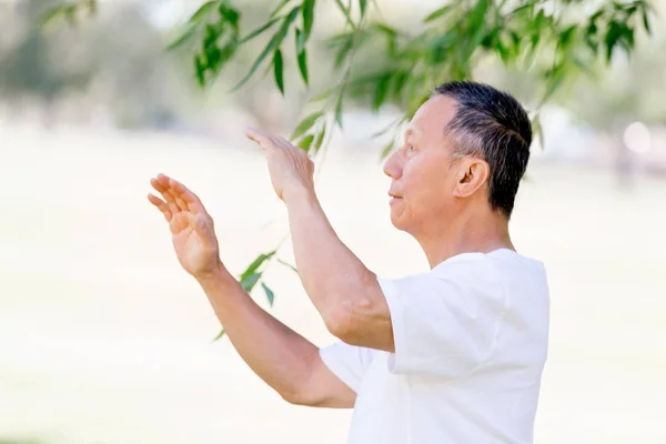 Oude man beoefenen Thaise chi — Stockfoto