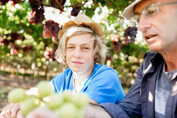 Vader en zoon in de wijngaard — Stockfoto