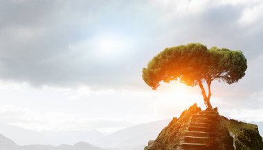 Taş imkan ve ağaç üstünde tepe. Karışık teknik