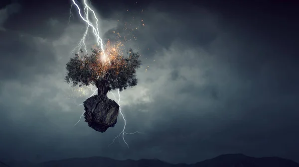 Bright lightning hit the tree — Stock Photo, Image