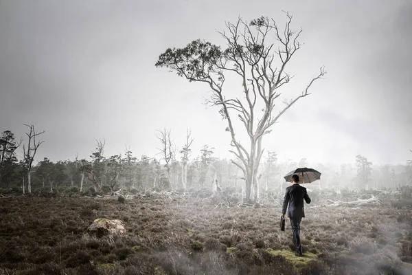 霧の森で男。ミクスト メディア — ストック写真