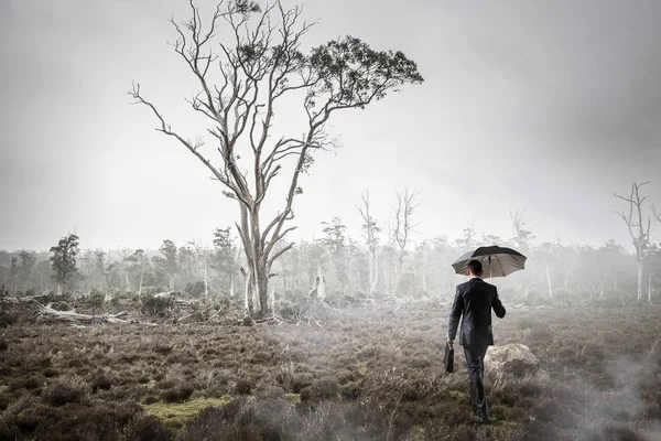 Homme dans la forêt brumeuse. Techniques mixtes — Photo