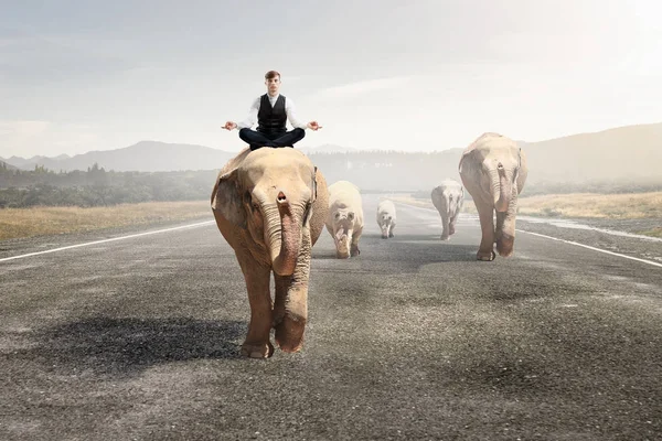 Il possède la force et la puissance des animaux. Techniques mixtes — Photo