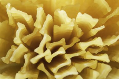 Masada pişmemiş makarna