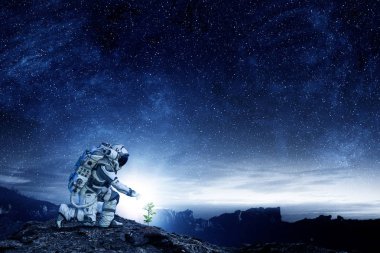 Ay'da hayat var. Karışık teknik