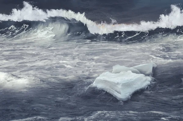 Ice floe on waves — Stock Photo, Image