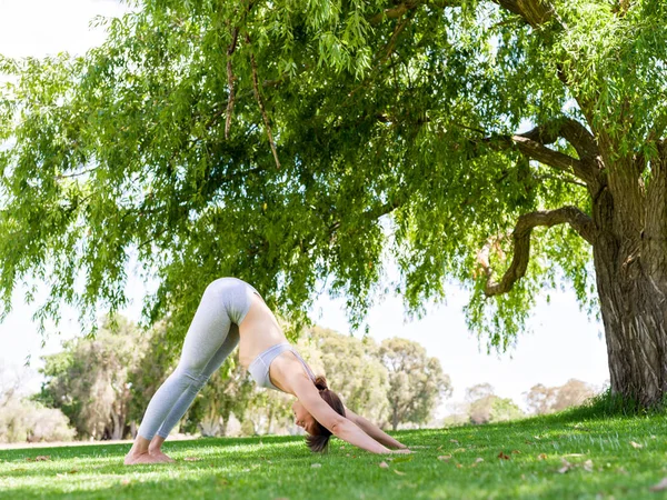 Ung kvinna utövar yoga i parken — Stockfoto