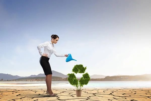 Árbol de reciclaje verde. Medios mixtos — Foto de Stock