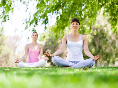 Genç kadın parkta egzersiz