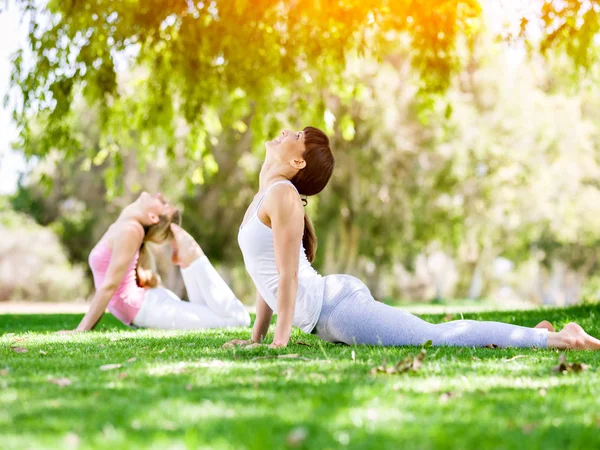Jovens mulheres se exercitando no parque — Fotografia de Stock