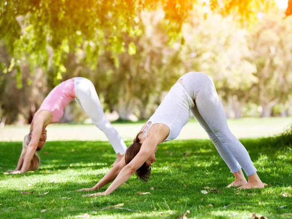 Jeunes femmes faisant de l'exercice dans le parc — Photo