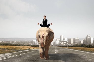 O hayvan güç ve güç sahiptir. Karışık teknik