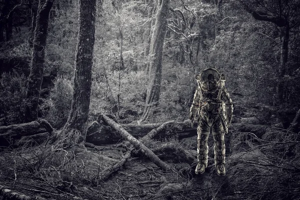 Aventure de l'astronaute. Techniques mixtes — Photo