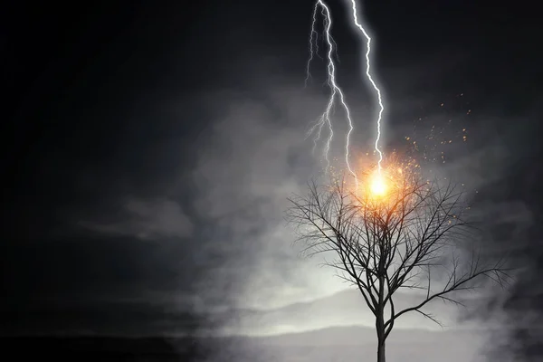 Bright lightning hit the tree — Stock Photo, Image