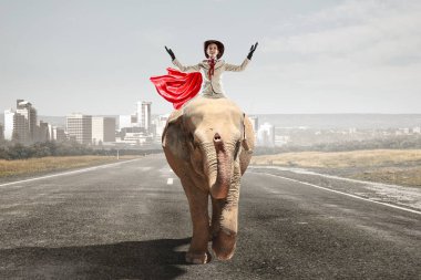 İşkadını binme fil. Karışık teknik