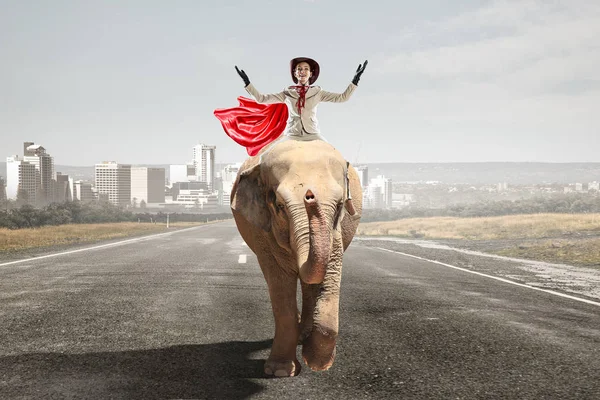 İşkadını binme fil. Karışık teknik