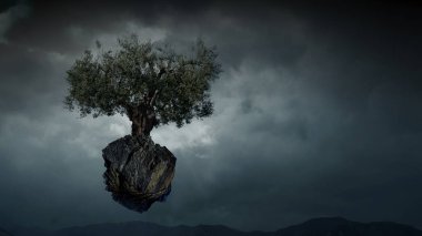 Parlak yıldırım ağaca çarptı