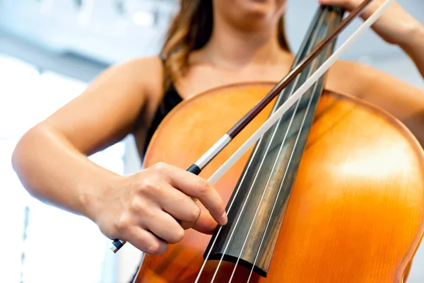 Närbild av cello med rosett i händerna — Stockfoto